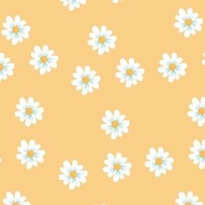 Meet your Posher, Paige